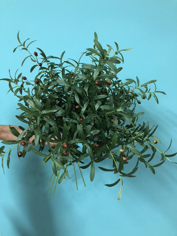 Simulation olive branch olive leaf