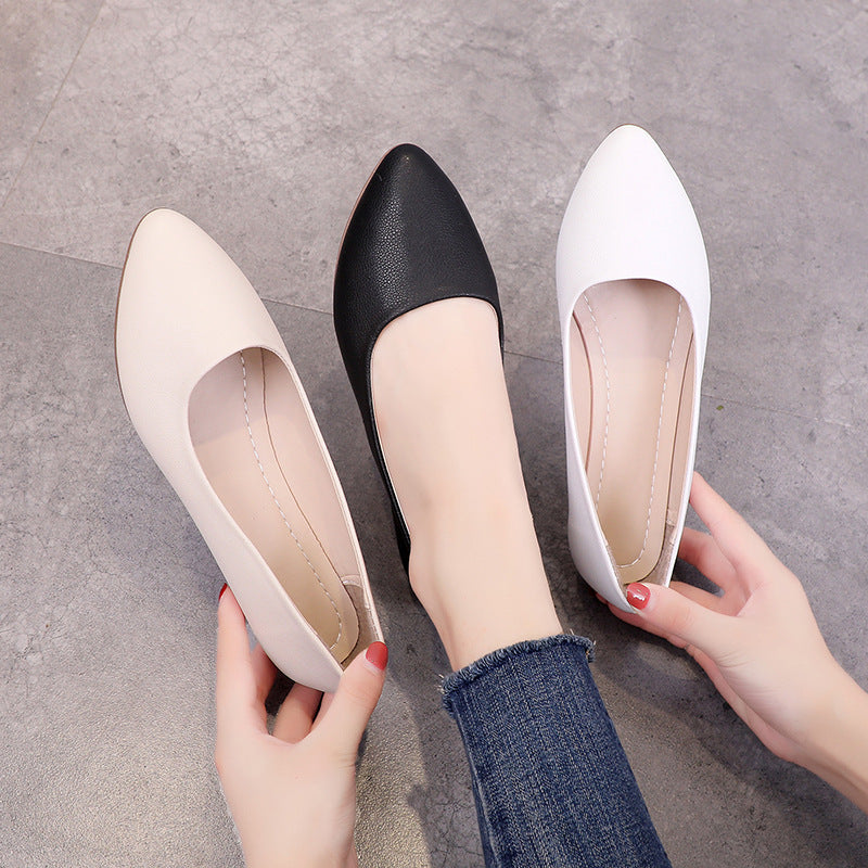 New pointed shallow mouth flats