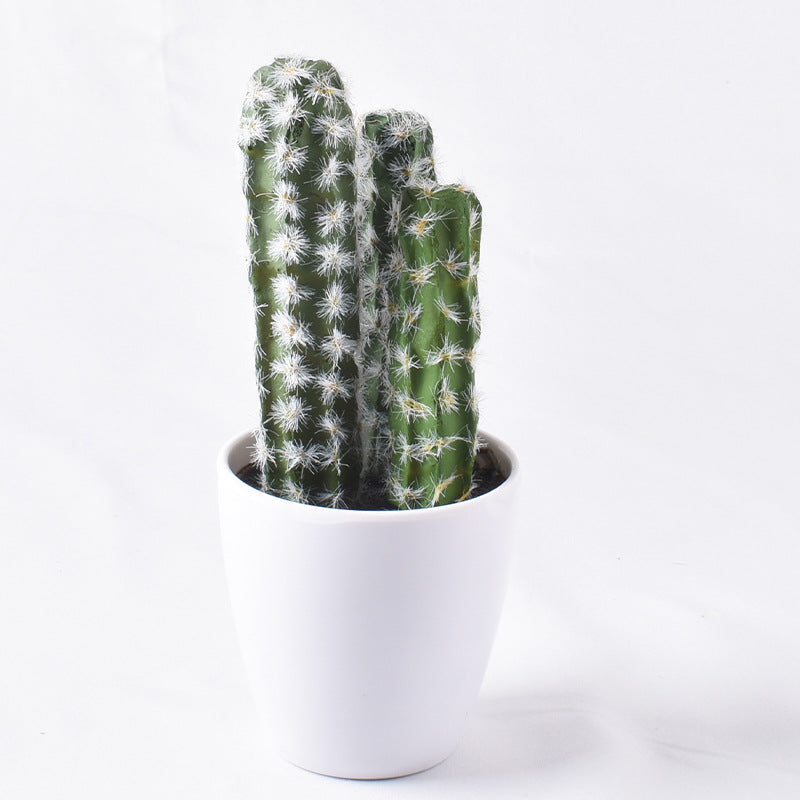 Simulación de mini cactus suculentos. 