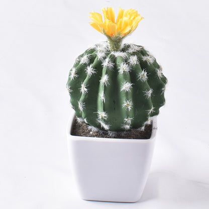 Simulación de mini cactus suculentos. 