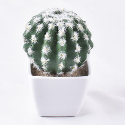 Simulación de mini cactus suculentos. 