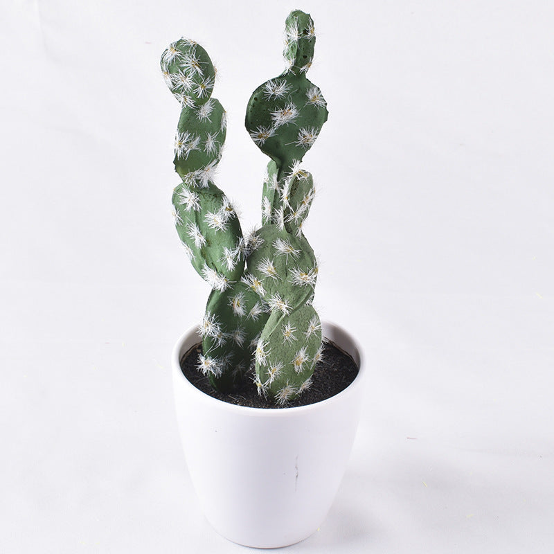 Simulación de mini cactus suculentos. 