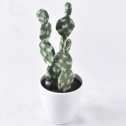 Simulación de mini cactus suculentos. 