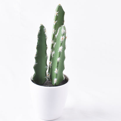 Simulación de mini cactus suculentos. 