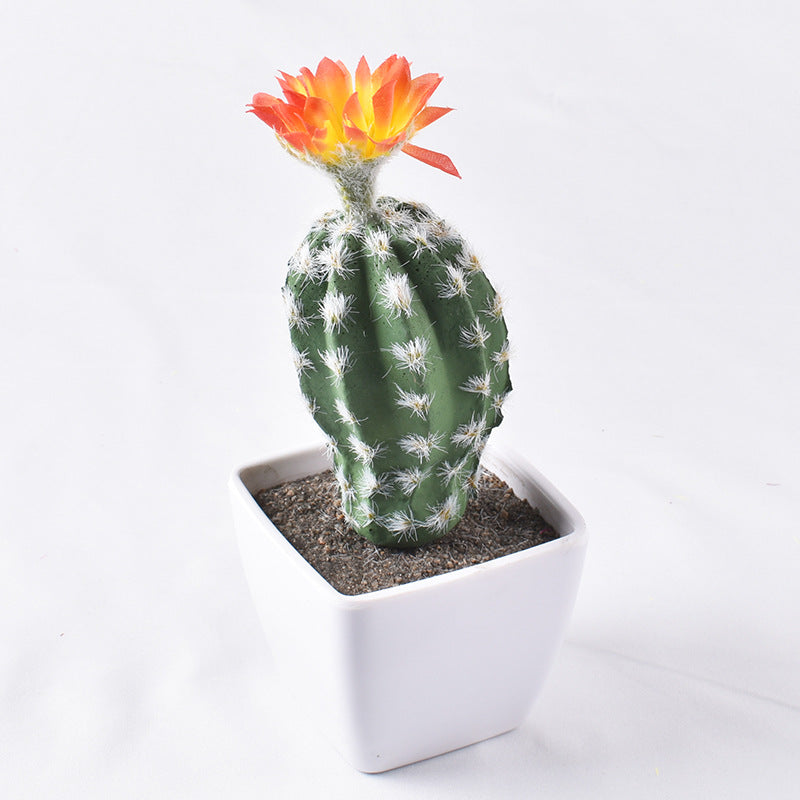 Simulación de mini cactus suculentos. 