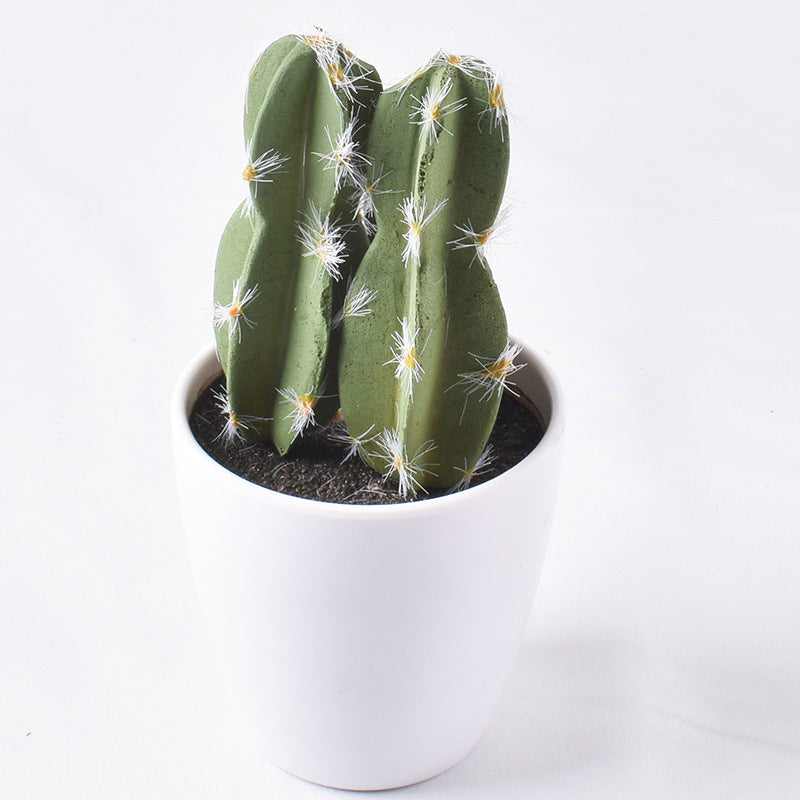 Simulación de mini cactus suculentos. 