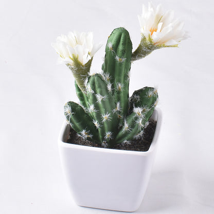 Simulación de mini cactus suculentos. 