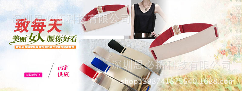 6Cm metal iron sheet belt