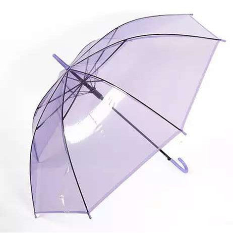 Korean-Style Creative Straight Handle Transparent Urban Umbrella