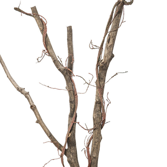 Simulation of dead vines and vines decoration