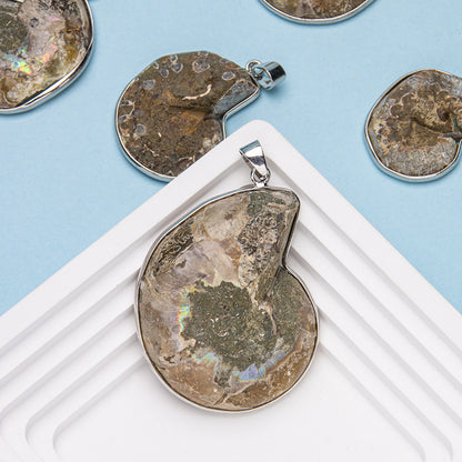 Natural Shell Fossil Pendant