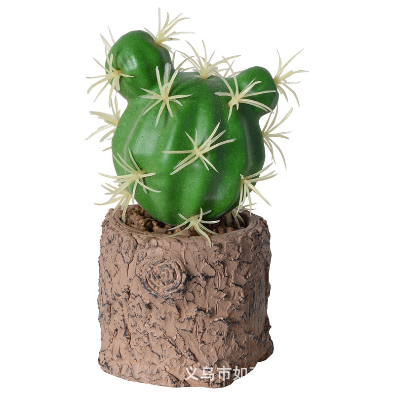 Simulation new cactus potted plant