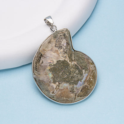 Natural Shell Fossil Pendant