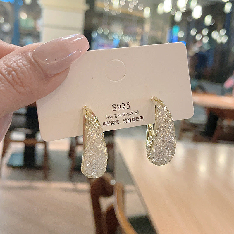 Zircon earrings for women ins