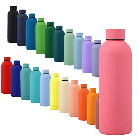 Double stainless steel home water bottle