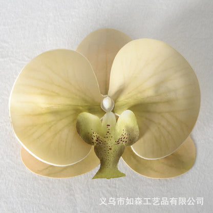 Simulation film Phalaenopsis orchid flower head petals