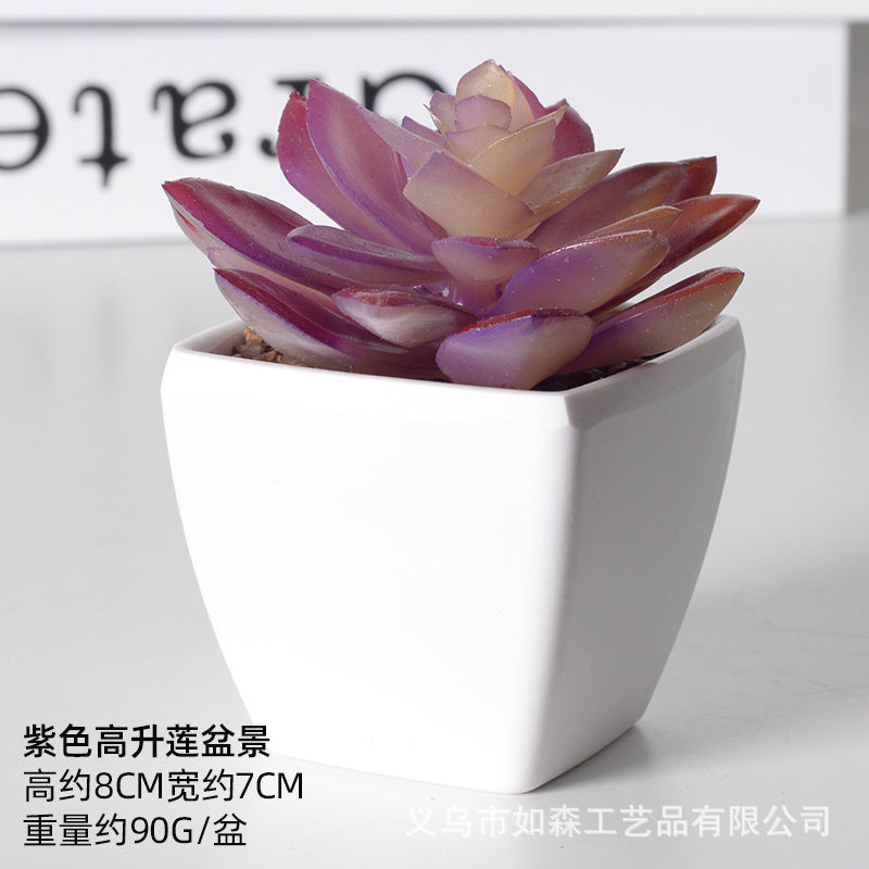 Simulation of succulent plastic bonsai artificial flowers combination