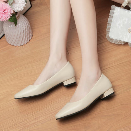 Pointed head shallow mouth high heels fashion