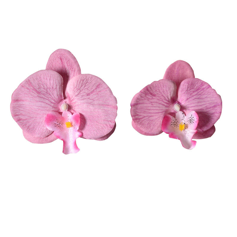 Simulation film Phalaenopsis orchid flower head petals