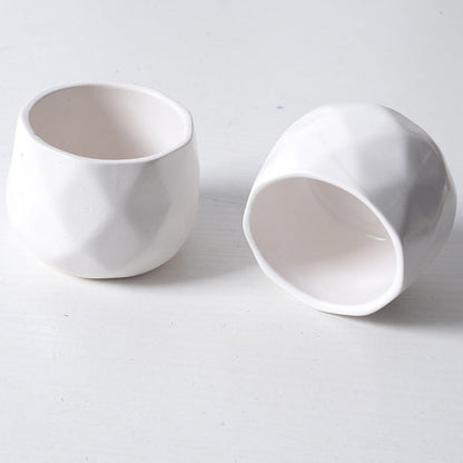 Succulent plant pots elegant white porcelain pots