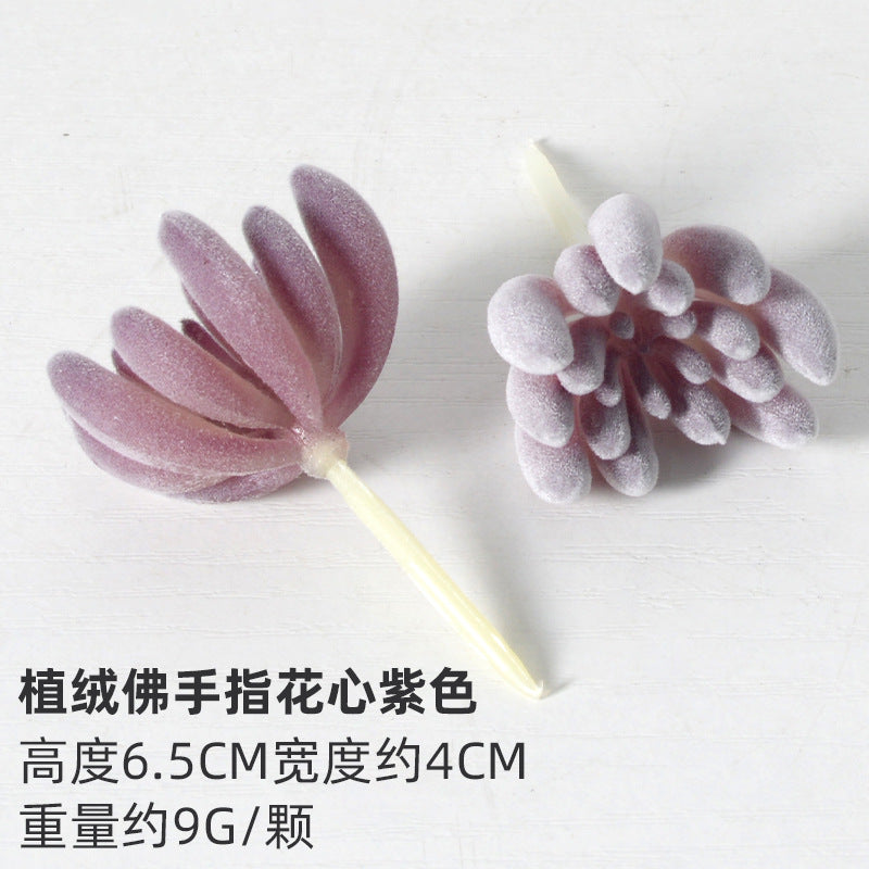 Purple flocking simulation succulent plants