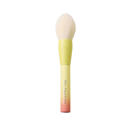 MyDestiny Fiber Powder Brush