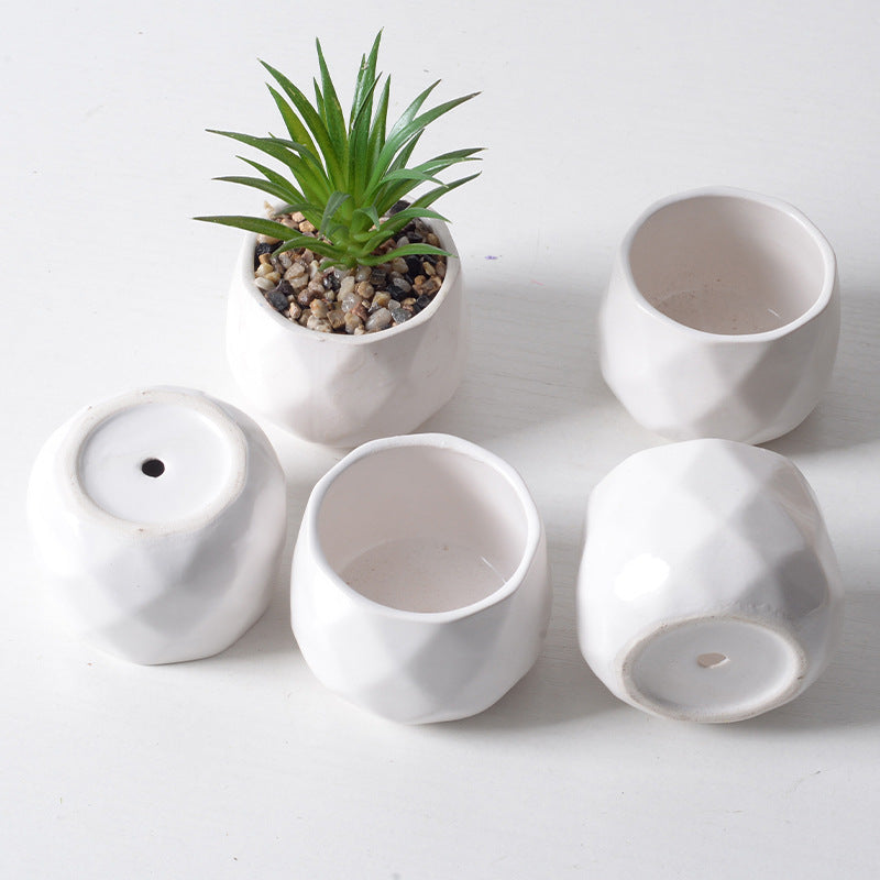 Succulent plant pots elegant white porcelain pots