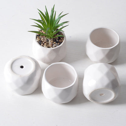 Succulent plant pots elegant white porcelain pots