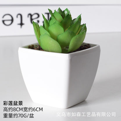 Simulation of succulent plastic bonsai artificial flowers combination