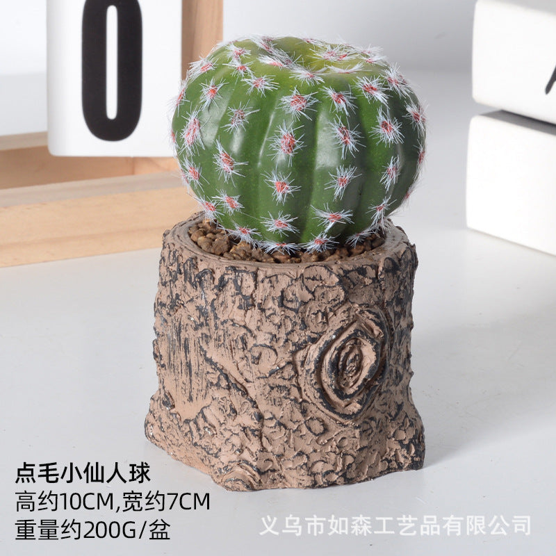 Simulation new cactus potted plant