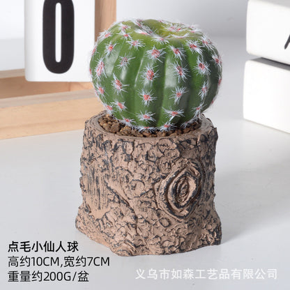 Simulation new cactus potted plant