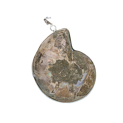 Natural Shell Fossil Pendant