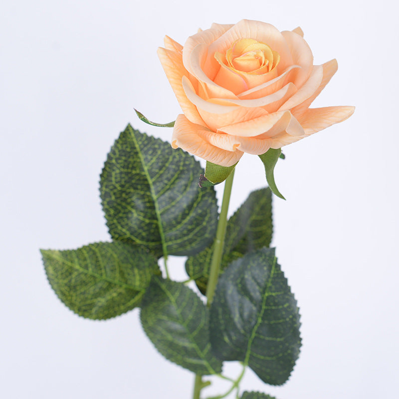 Artificial flower moisturizing rose corner rose high-end rose