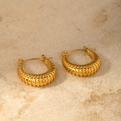 Screw Circle Croissant Earrings