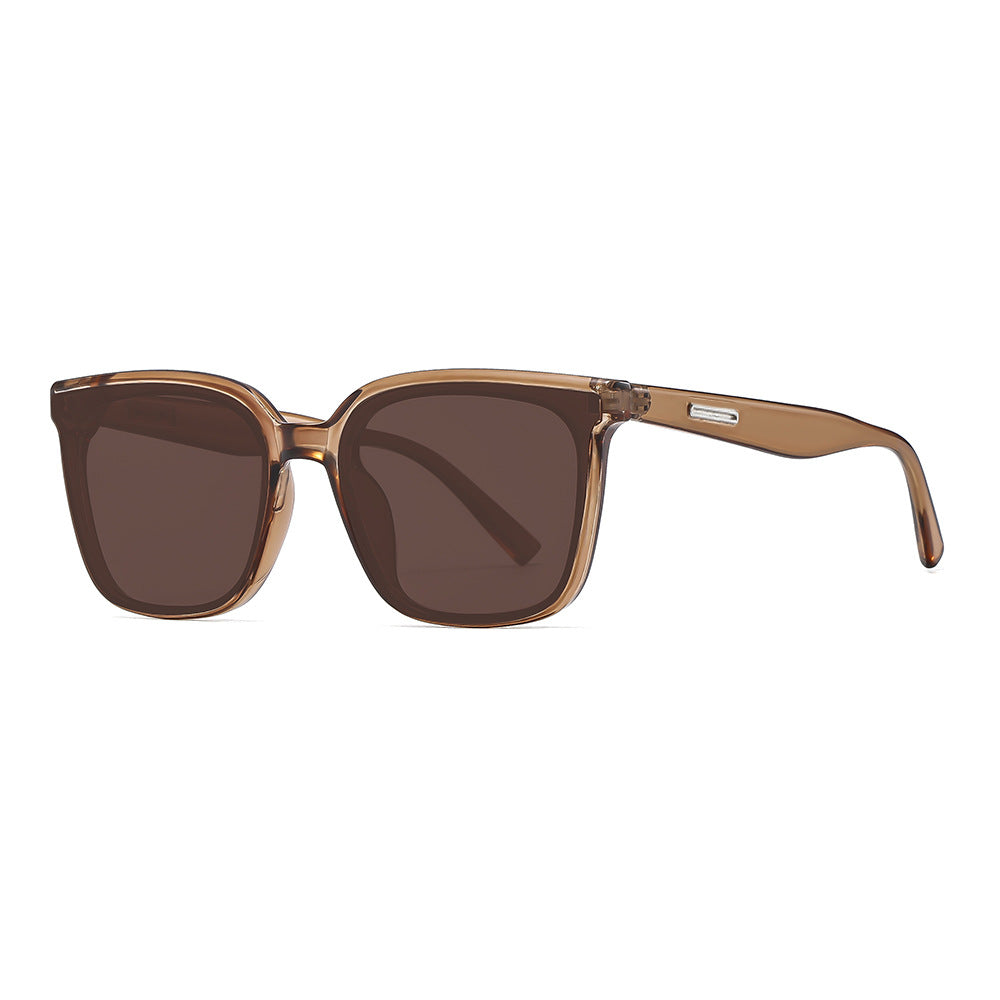 Brown Polarized Sunglasses