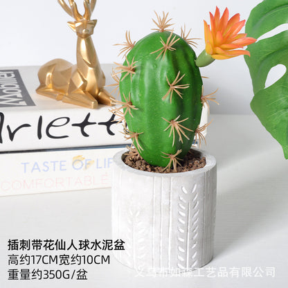 Simulation cactus green plant potted