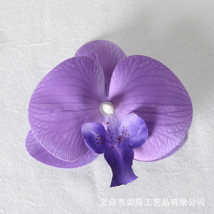 Simulation film Phalaenopsis orchid flower head petals