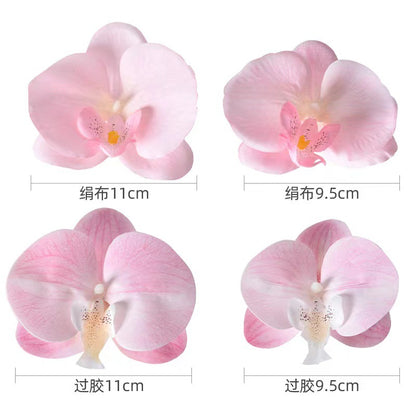 Simulation film Phalaenopsis orchid flower head petals