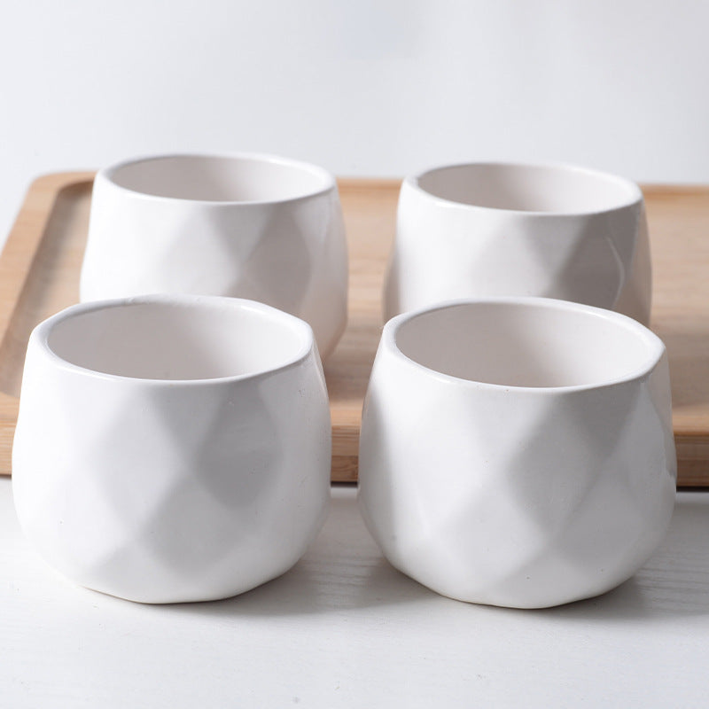 Succulent plant pots elegant white porcelain pots