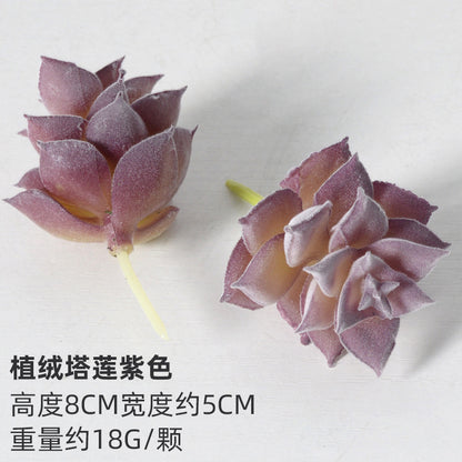 Purple flocking simulation succulent plants