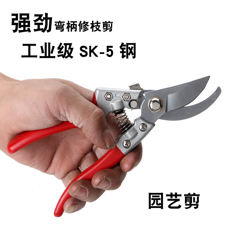 German sk5 fruit tree coarse branch pruning shears