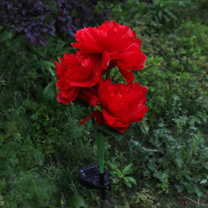 Solar three-head peony flower lamp