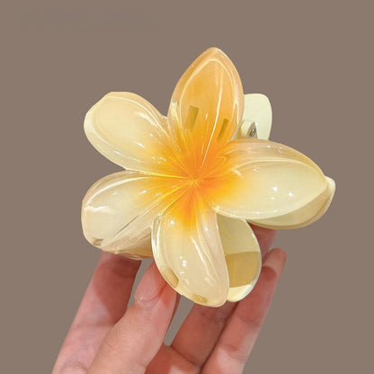 Flower hairpin back head disc hair accessories