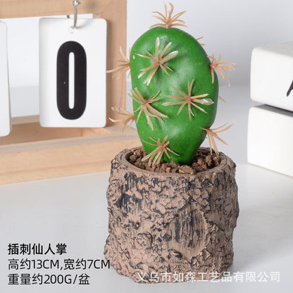 Simulation new cactus potted plant