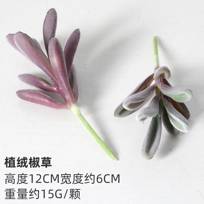 Purple flocking simulation succulent plants