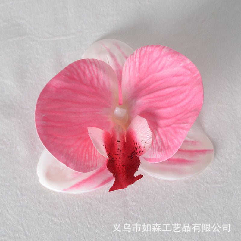 Simulation film Phalaenopsis orchid flower head petals