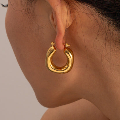 Double layer twist oval earrings