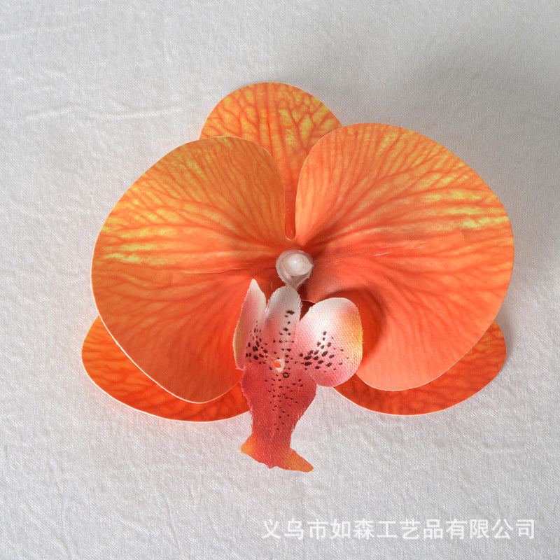 Simulation film Phalaenopsis orchid flower head petals