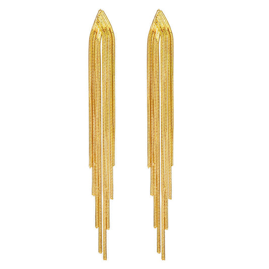 Long tassel earringsjewelry