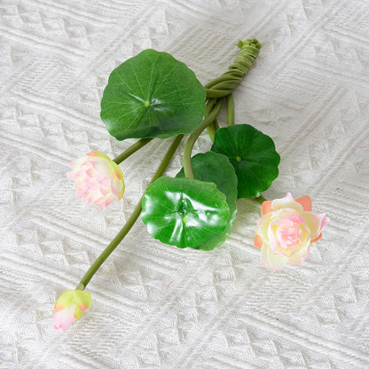 Simulation of small lotus, lotus leaf bouquet, small potted plant